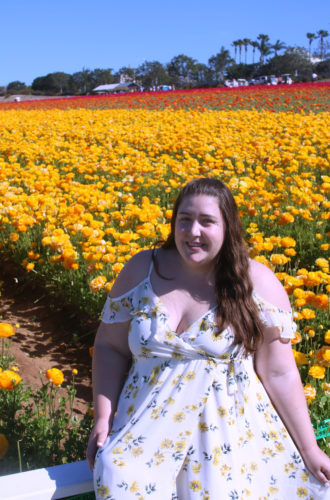 Flower Fields Visit in Carlsbad, CA