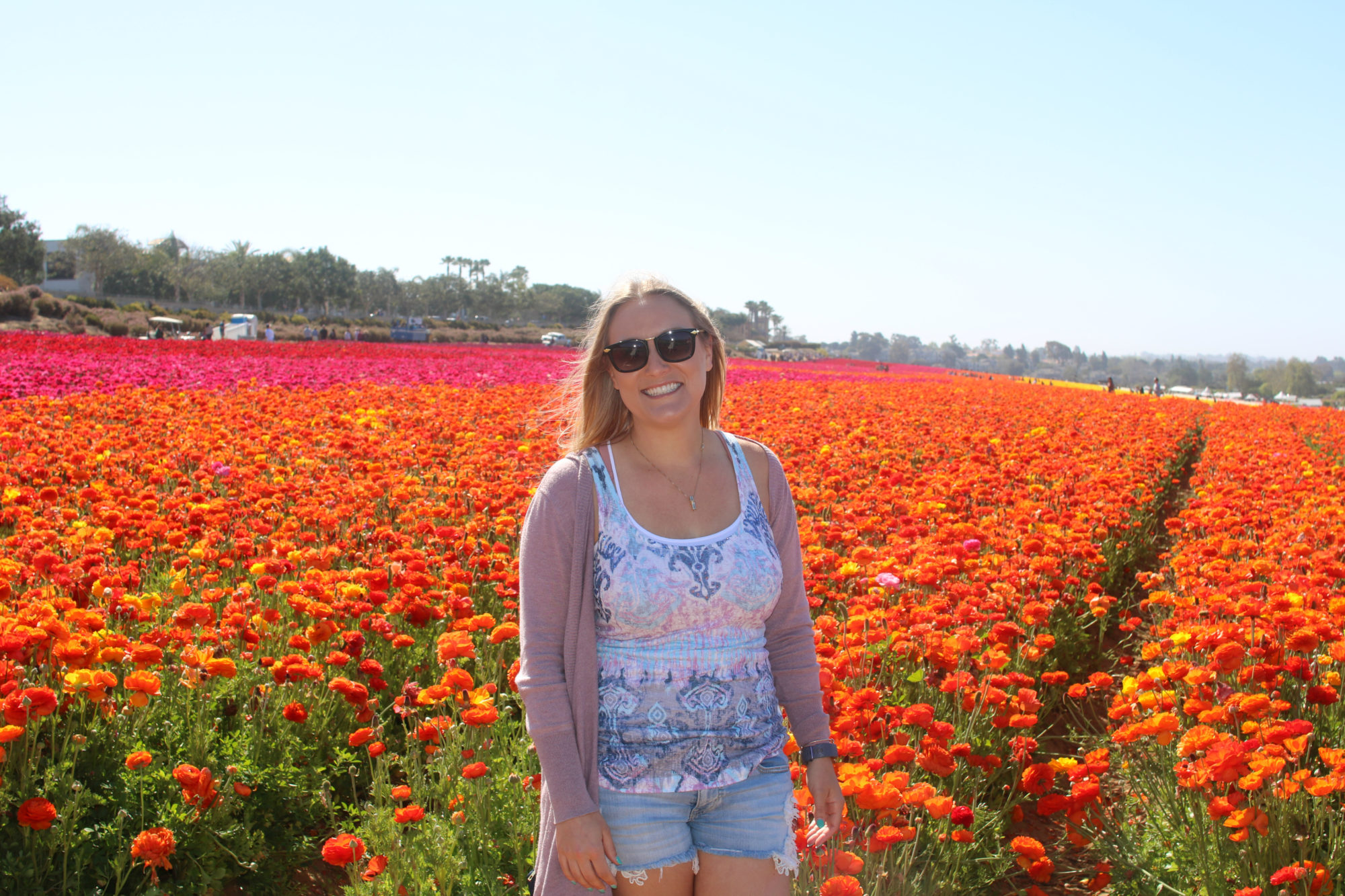 Flower Fields