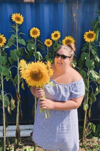 Half Moon Bay Sunflower Fields