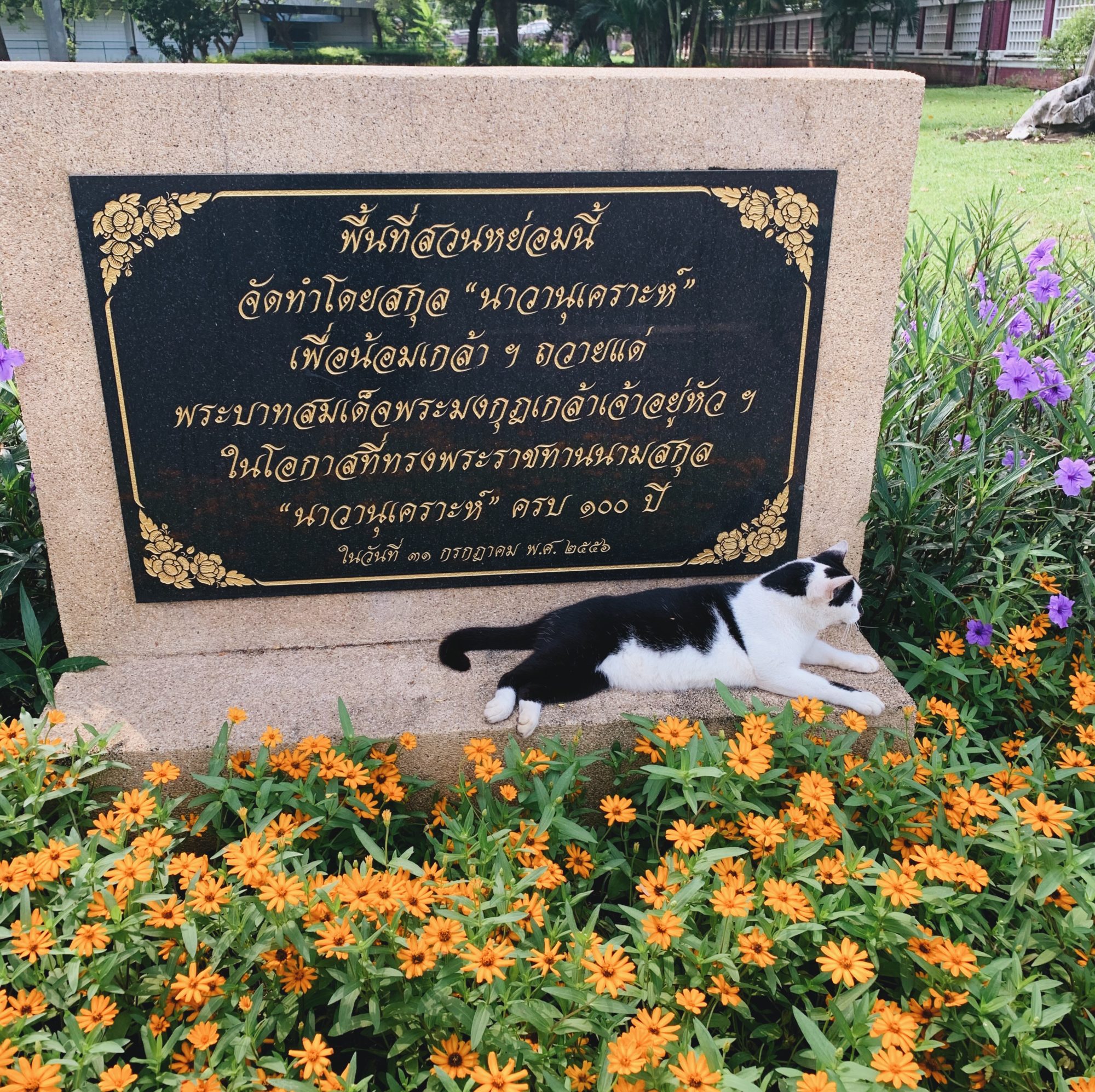 Lumpini Park