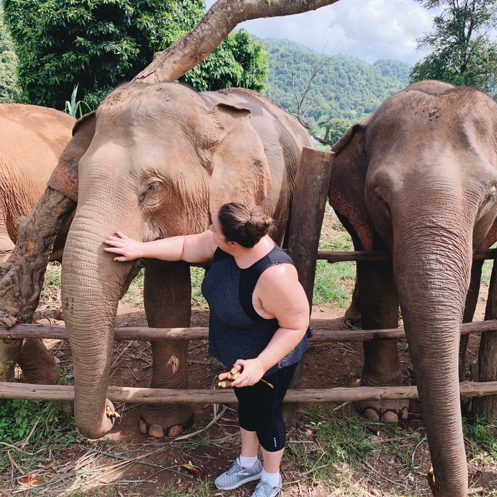 Chiang Mai Travel Guide