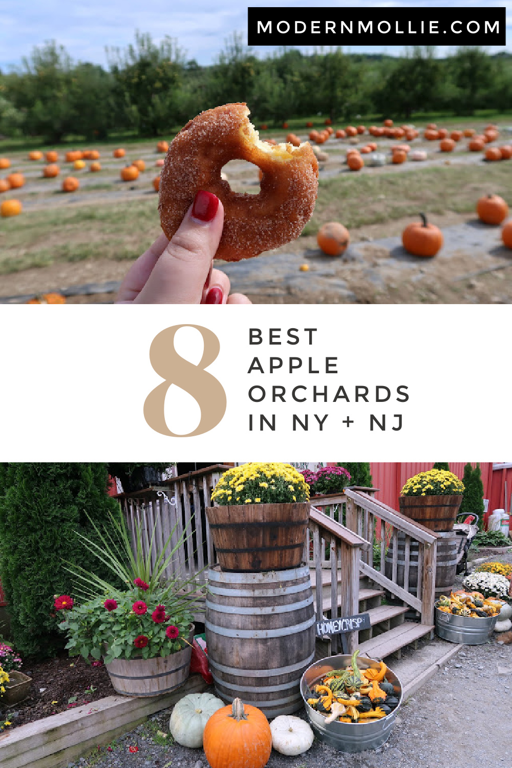 Best Apple Orchards in New York