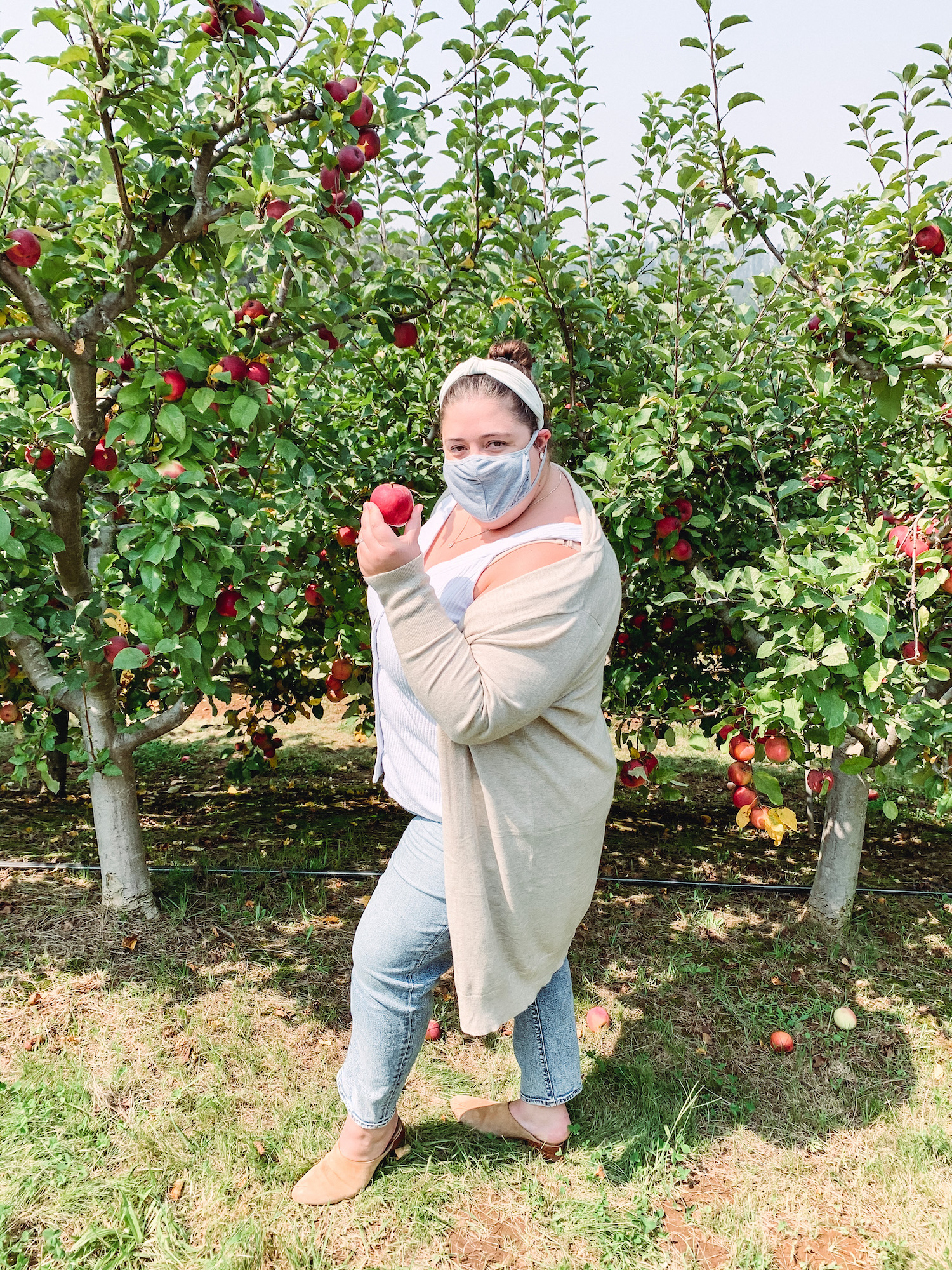 Apple Picking