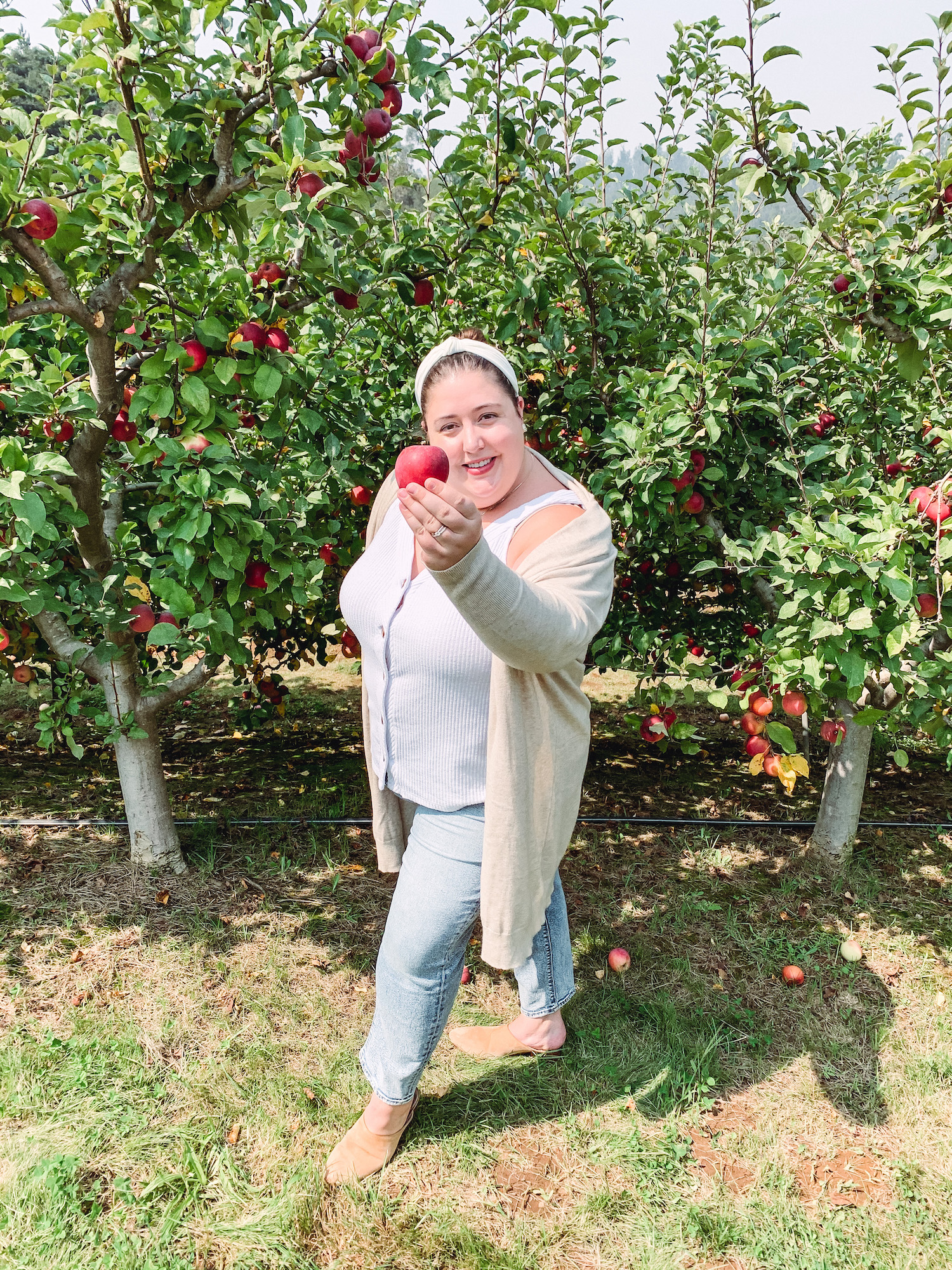 Apple Picking in the Bay Area