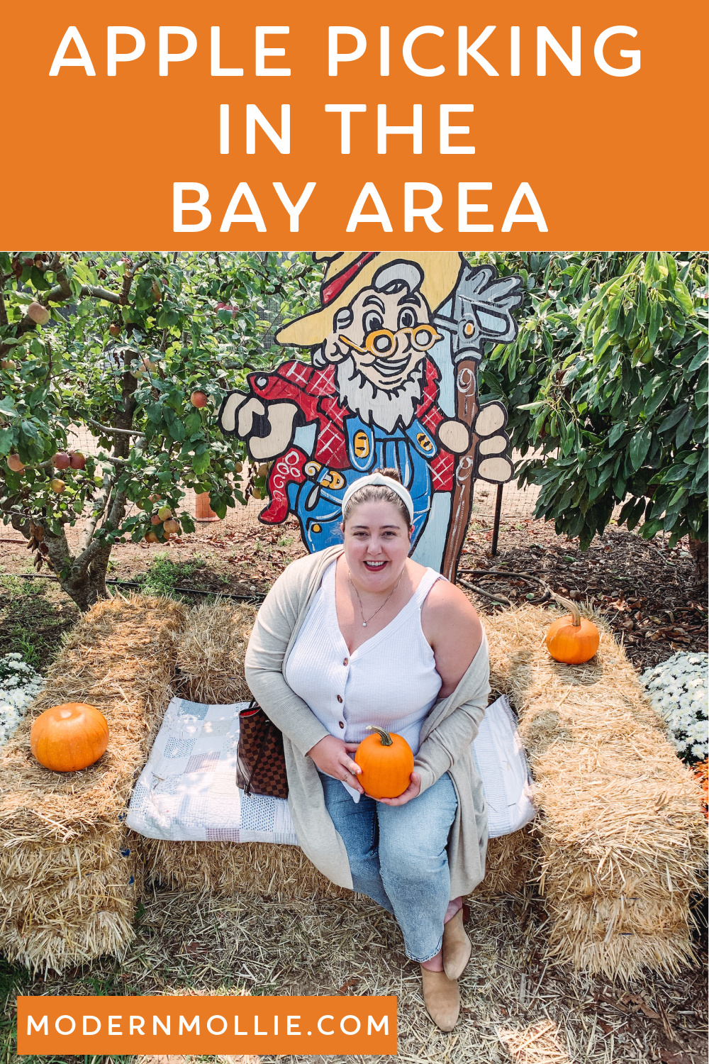 Apple Picking in the Bay Area