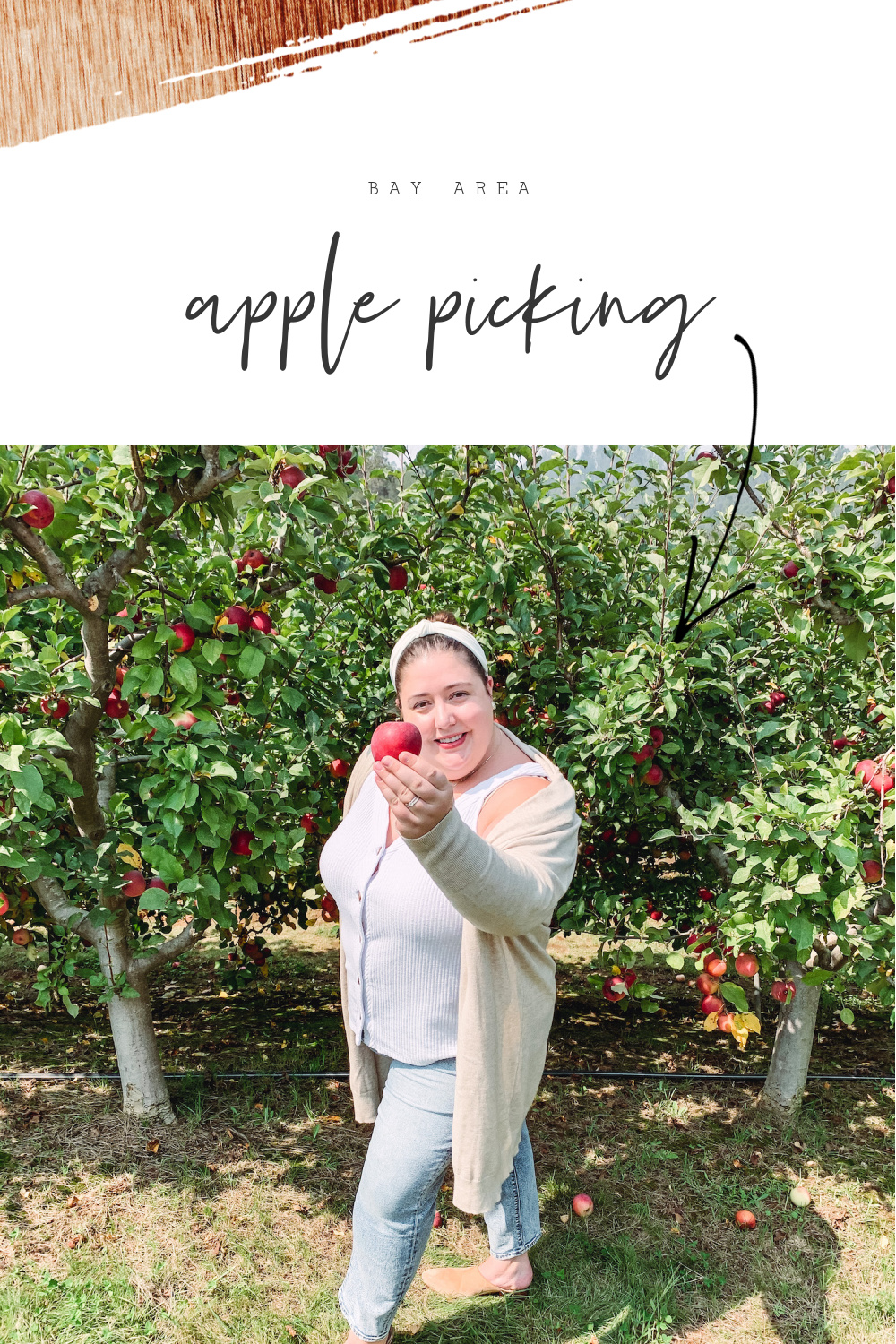 Apple Picking in the Bay Area