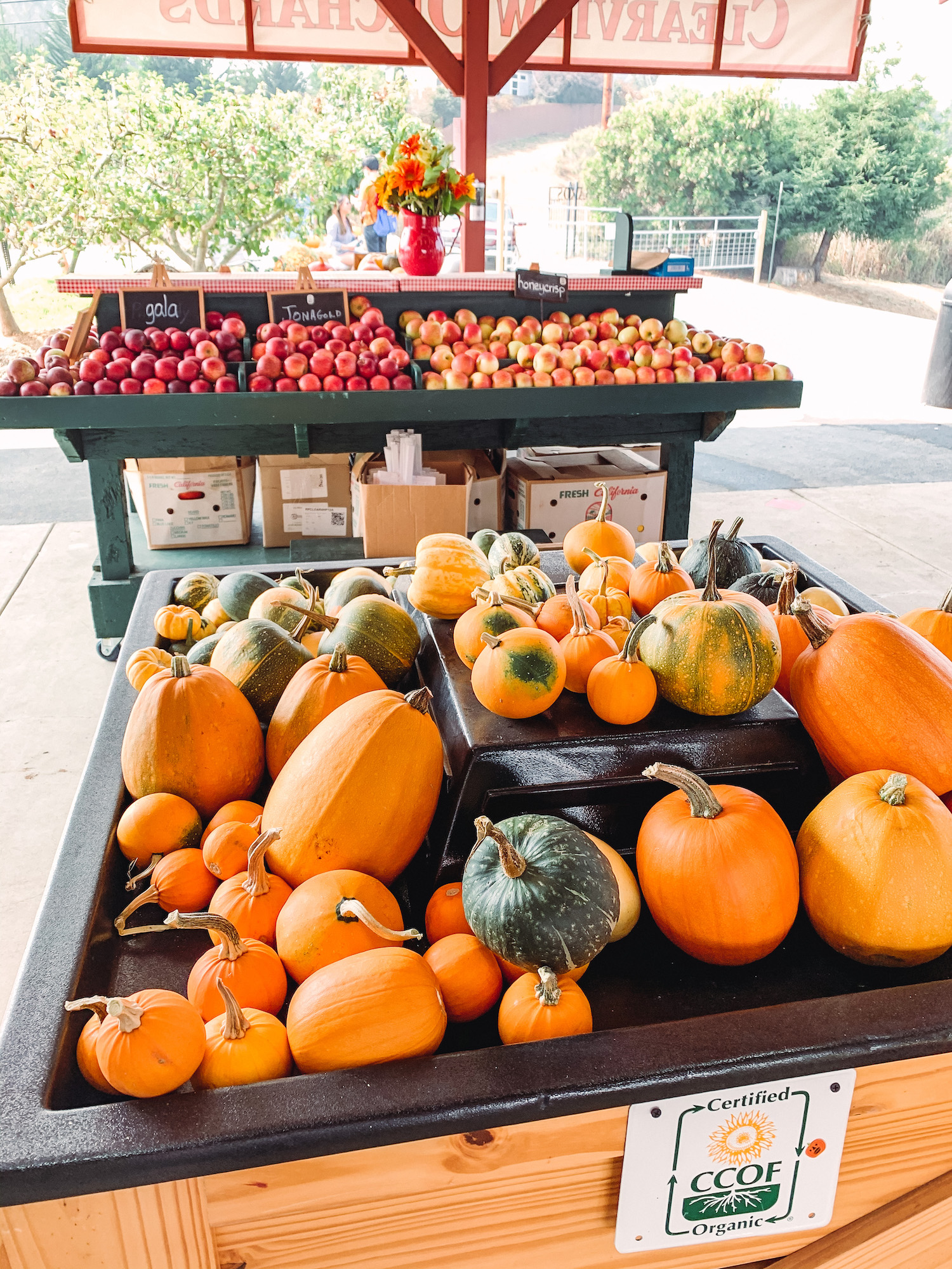 Clearview Orchards