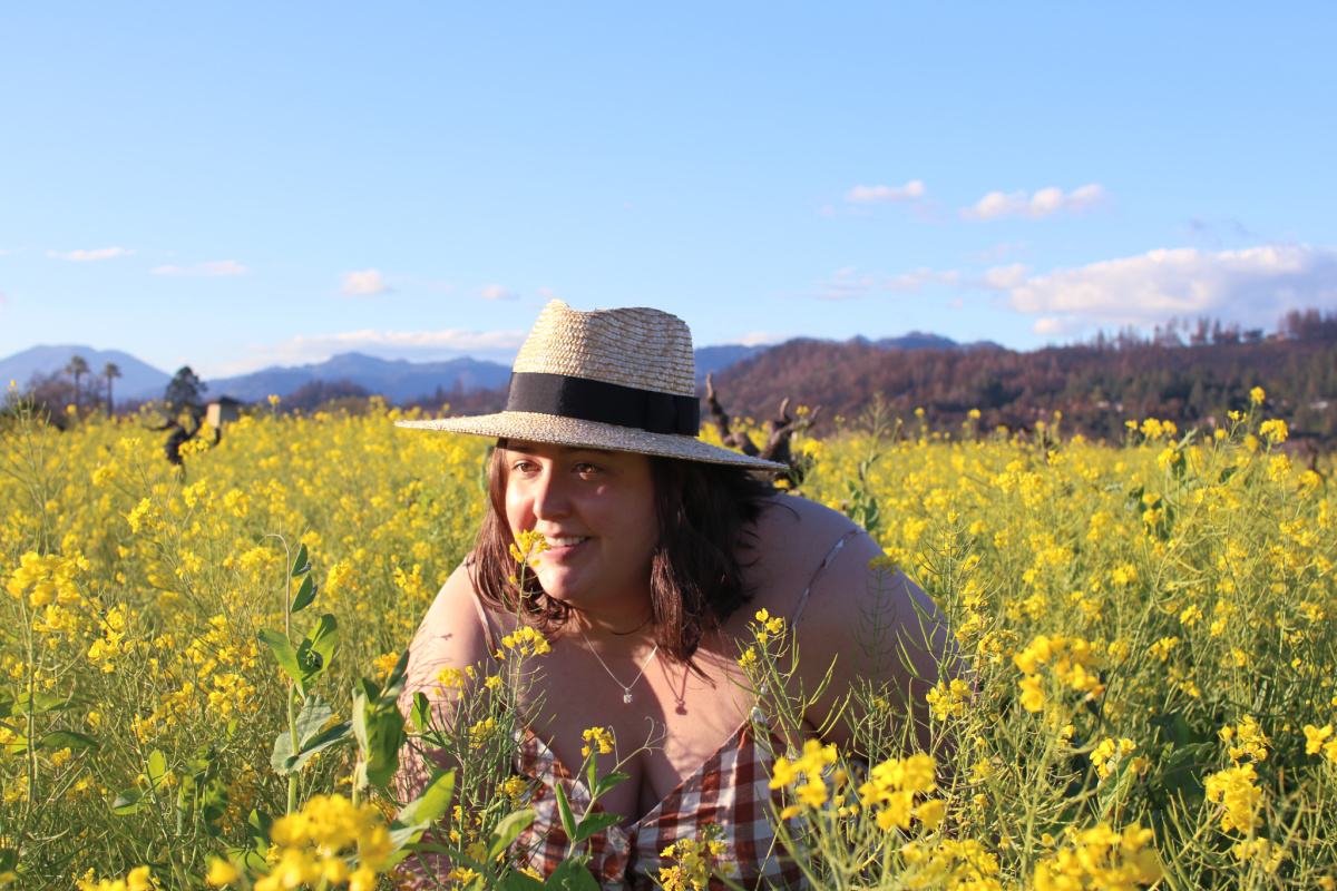 Napa Mustard Fields