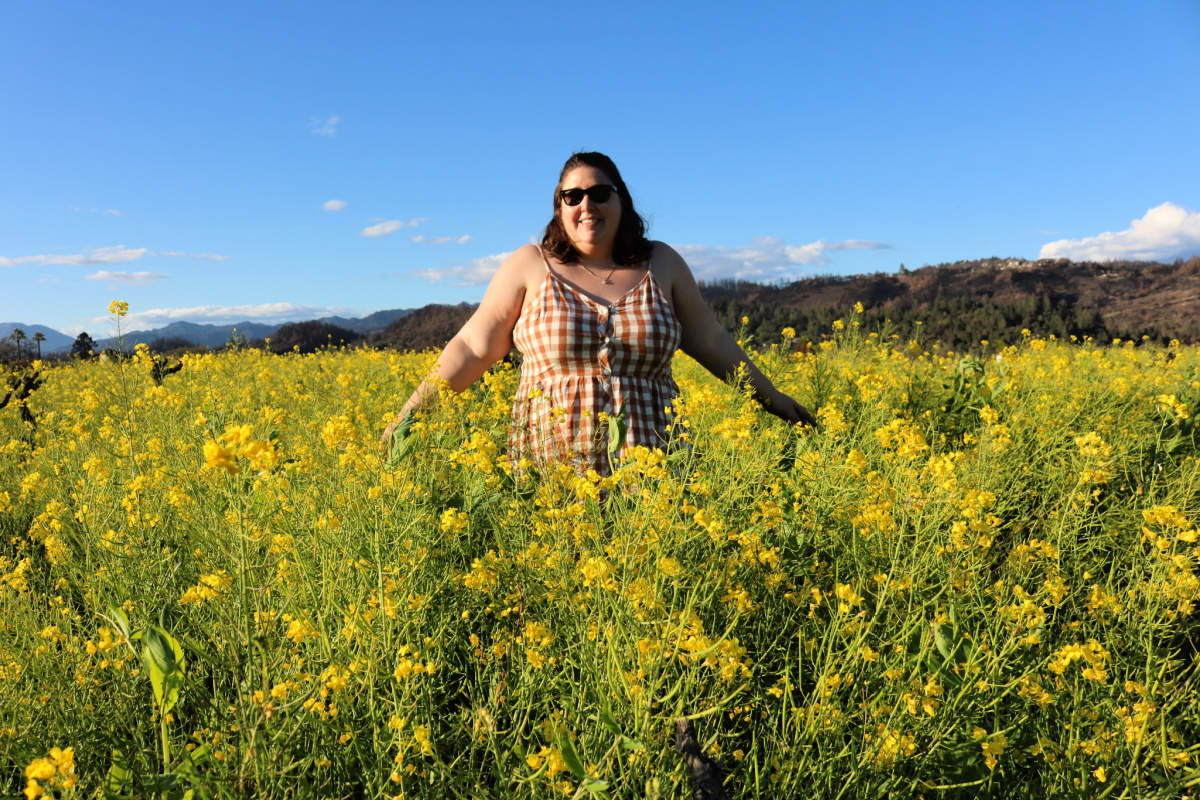 Napa Mustard Fields