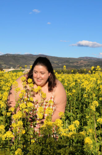 Napa Mustard Fields 2021