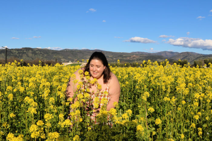 Napa Mustard Fields