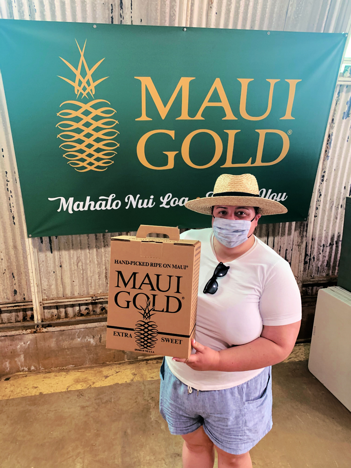 Maui Travel Guide