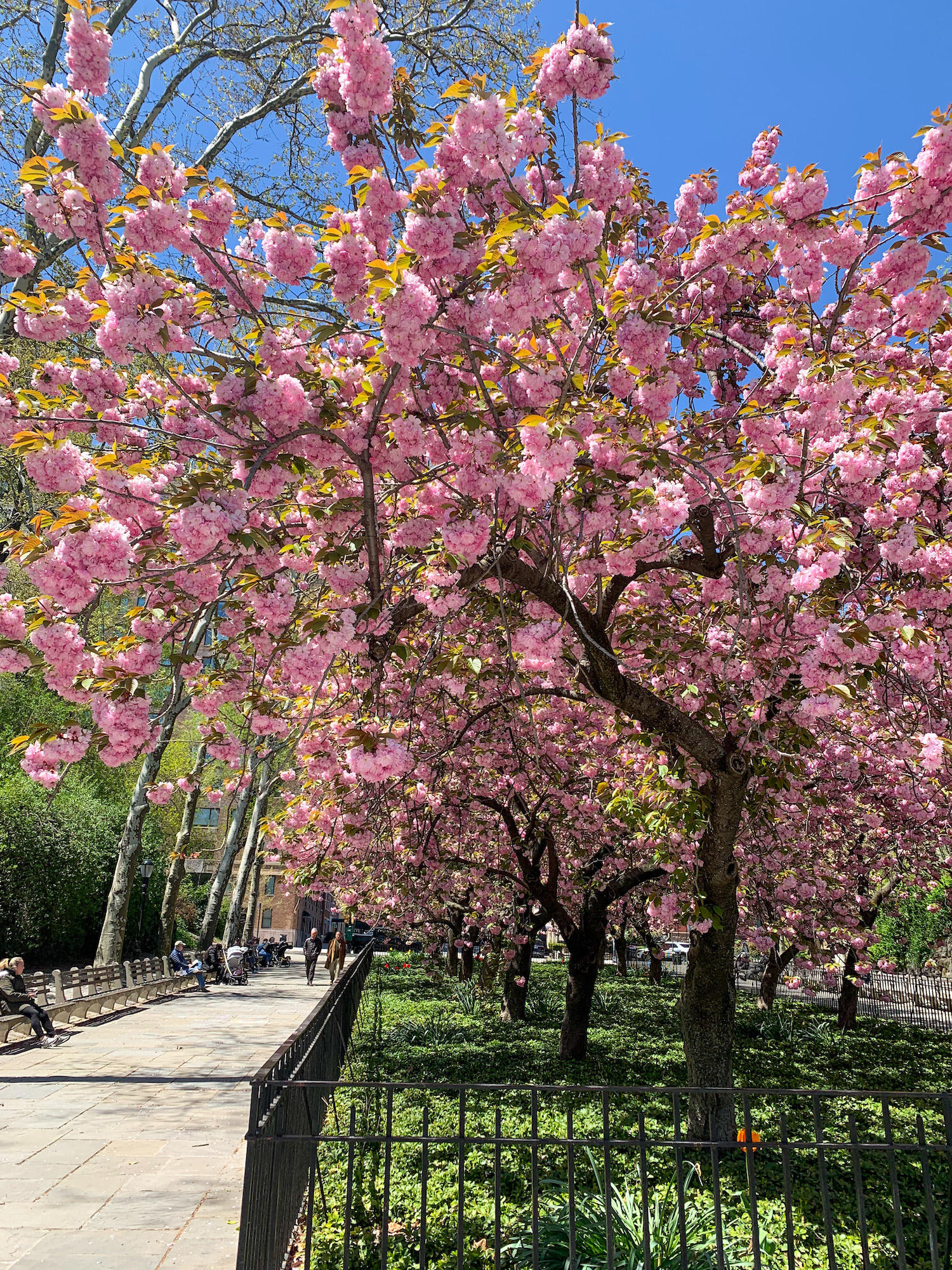 carl schurz park