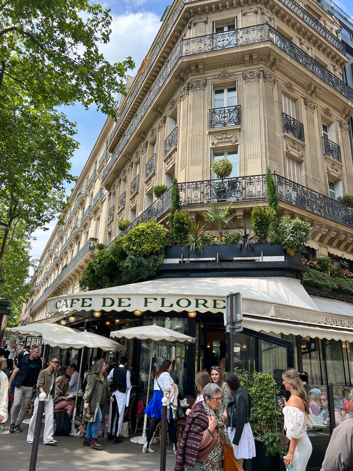 best paris travel guide