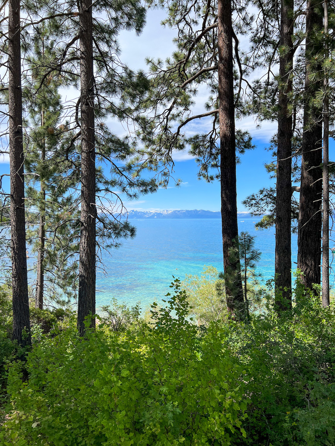 incline village nevada